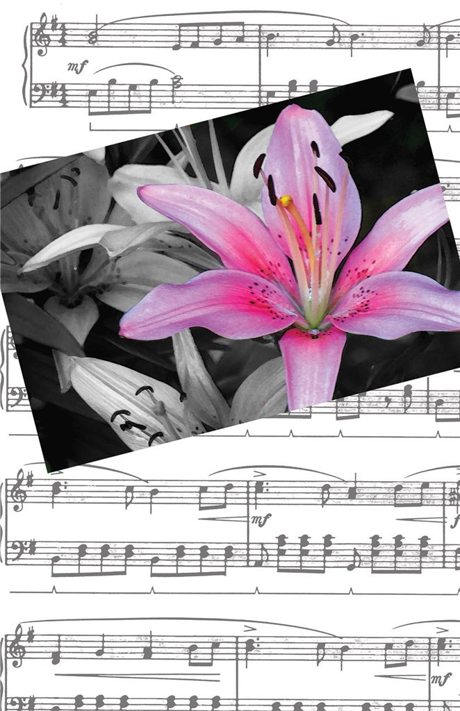 Recital Program #80 - Red & Blue Clefs